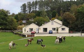 Muckross Riding Stables Villa Killarney Exterior photo