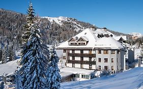 Biker Hotel Al Gallo Forcello Passo Pramollo Exterior photo