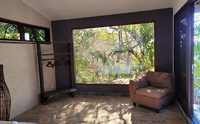 Quiet And Comfy Studio With Jungle Views Appartement El Plantel Exterior photo