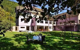 Logis Hotel Des Vosges Sewen Exterior photo