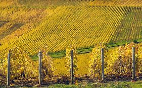 Best Western Le Relais Du Vigneron Hotel Blancs-Coteaux Exterior photo