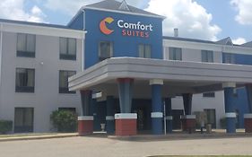 Comfort Suites Airport South Montgomery Exterior photo