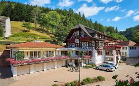 Flair Hotel Adlerbad Bad Peterstal-Griesbach Exterior photo