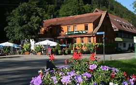 Gruener Hof Hotel Zell am Harmersbach Exterior photo