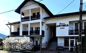 Pensiunea Antonia Hotel Vatra Dornei Exterior photo