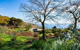 Agriturismo Fattoria Terranova Villa SantʼAgata sui Due Golfi Exterior photo