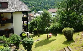 Atina Hotel Bad Wildbad Exterior photo