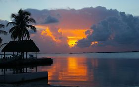 Rock Reef Resort Key Largo Exterior photo