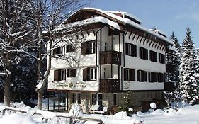 Victoria Hotel Borovets - Free Parking Exterior photo