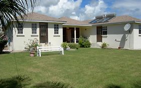 Gemini House Bed & Breakfast Bed and Breakfast Christ Church Exterior photo