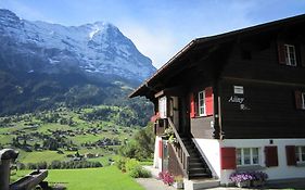 Chalet Aiiny Appartement Grindelwald Exterior photo