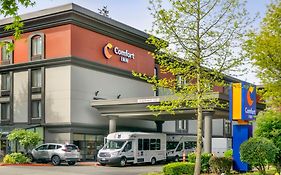 Comfort Inn&Suites SeaTac Exterior photo