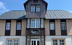 Synek Pension Aparthotel Špindlerŭv Mlýn Exterior photo