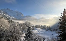 Beausite Park Hotel & Spa Wengen Exterior photo