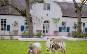 San Gabriel Homestead Somerset West Exterior photo