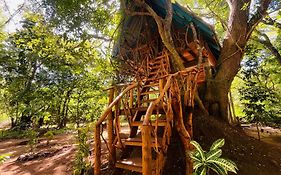 Ali Adi Eco Lodge Sigiriya Exterior photo