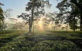 The Postcard In The Durrung Tea Estate, Assam Hotel Tezpur Exterior photo