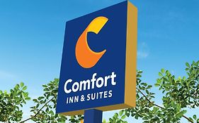 Comfort Inn & Suites Waco Exterior photo