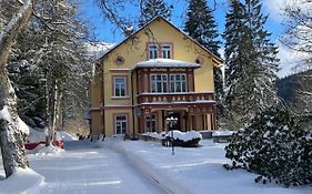 Villa Belvedere Janské Lázně Exterior photo