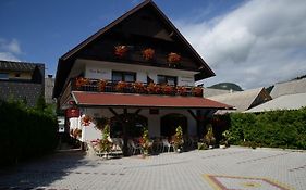 Penzion Vila Bistrica Bed and Breakfast Bohinjska Bistrica Exterior photo