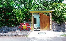 Galapagos Dove Hotel Puerto Ayora  Exterior photo