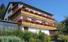 Pension Hildegund Hotel Lauterbach  Exterior photo