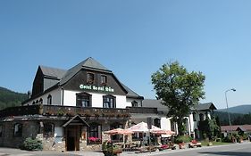 Hotel Lesni Dum Janské Lázně Exterior photo