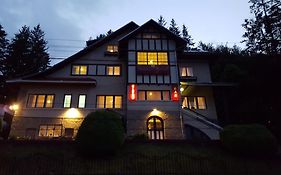 Vila Gabriel Hotel Sinaia Exterior photo