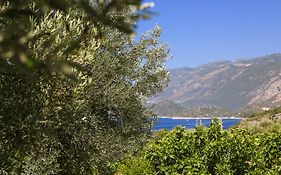 Kaktus Cakil Hotel Kaş Exterior photo