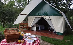 Glamping El Establo Hotel San Francisco  Exterior photo