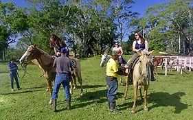 Banana Bank Lodge & Jungle Horseback Adventures Belmopan Exterior photo