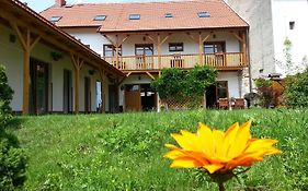 Pension Rondel Hotel Poděbrady Exterior photo