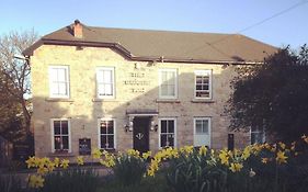 The Badger Inn Carbis Bay Exterior photo