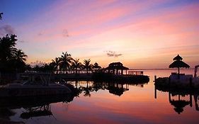 Amoray Dive Resort Key Largo Exterior photo