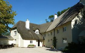 Amberley Bed And Breakfast Newton Abbot Exterior photo