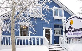 Purple Mountain Bed & Breakfast & Spa Crested Butte Exterior photo