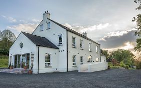 Mill Lodge B&B Banbridge Exterior photo