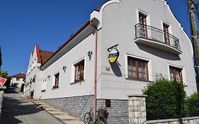 Natural Panzio Bed and Breakfast Győr Exterior photo