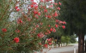 The Heights Bed & Breakfast Bed and Breakfast Jurien Bay Exterior photo