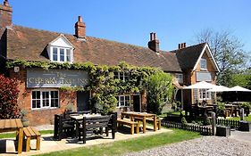 The Cherry Tree Inn Henley-on-Thames Exterior photo