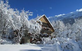 Chalet Solneige Bed and Breakfast Vaujany Exterior photo