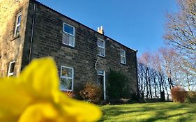 Riding Farm Bed and Breakfast Gateshead Exterior photo