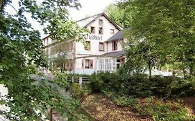 Auberge Des Mesanges Hotel Meisenthal Exterior photo