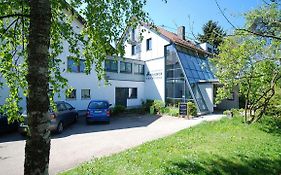 Gasthof Birkenhof Hotel Althutte Exterior photo