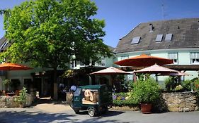 Gasthof Loewen Gmbh Hotel Heitersheim Exterior photo