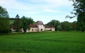 Chateau Des Roises Bed and Breakfast Bucey-en-Othe Exterior photo