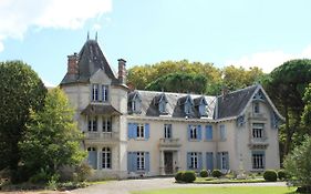 Chateau De Morin Hotel Puch-d'Agenais Exterior photo