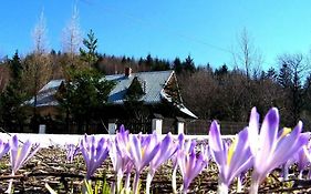 Goralska Czarcia Chata Pod Jalowcem Villa Stryszawa Exterior photo