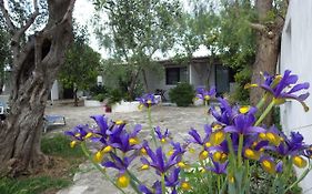 B&B Masseria Liberatore Mattinata Exterior photo