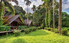 Khao Sok Riverside Cottages Khao Sok National Park Exterior photo